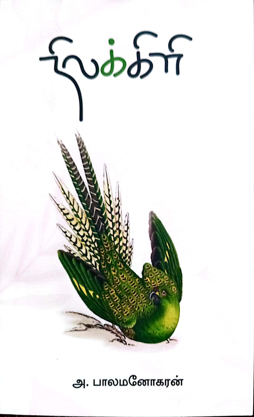 நிலக்கிளி