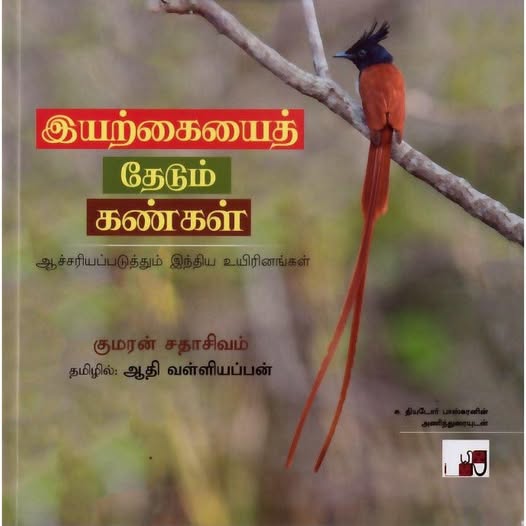 இயற்கையைத் தேடும் கண்கள்.